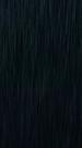 3Folgen