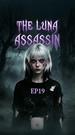 剧集数 19