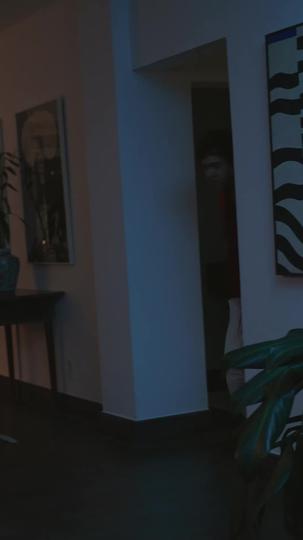 O Herdeiro  9Episódio