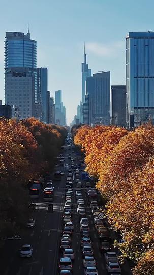 From Rags, He Commands the World Episode 1