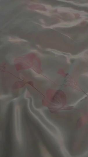 Shadows of the Past, Flames of the Heart Episode 1