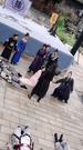 Episodes 46