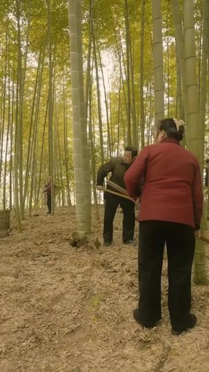 情暖人間 第9集