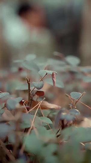 Out of Prison, My Revenge Begins Episode 5