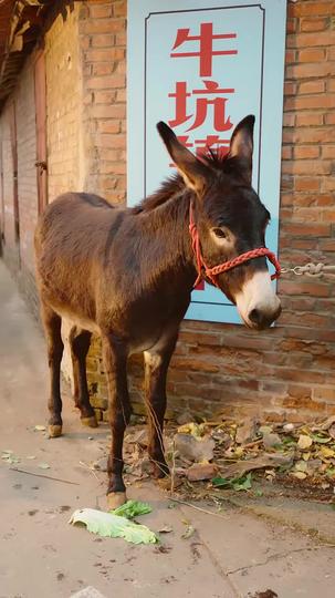 可否许我再重头 第6集