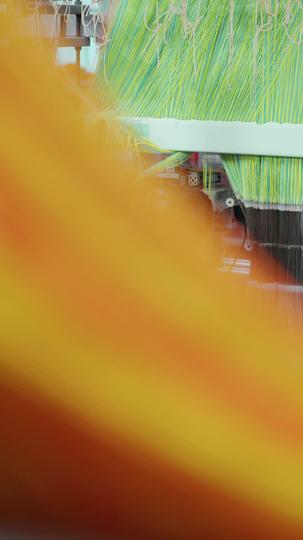 逆转五十岁 第2集