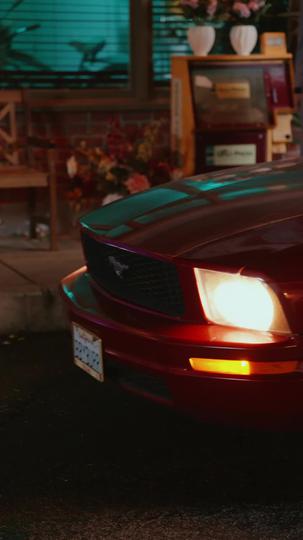 The Thief Lover Episode 1