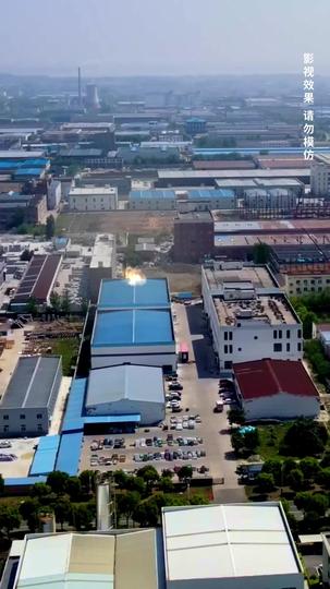 情似繁花渐落 第11集