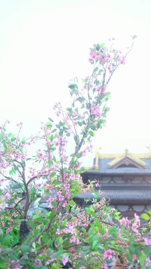 ข้าเกิดมาสื่อสารกับสัตว์ได้ ที่8ตอน