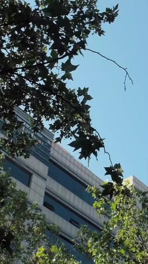 From Anonymity to Stardom Episode 10