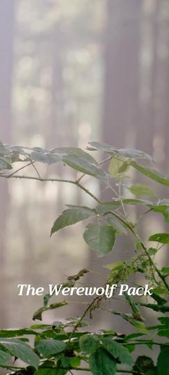 My Twin Sister Stole My Alpha Fiancé Episode 1