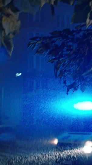 Nessuna Scampo dall'Abbraccio del Re della Mafia Episodio 1