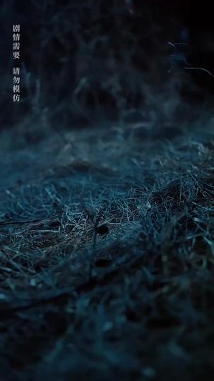 Lights Off, Survival On Episode 9