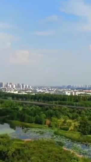 Your Heart's Next Stop: Me Episode 1