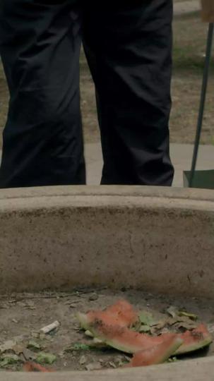 一号战尊 第9集