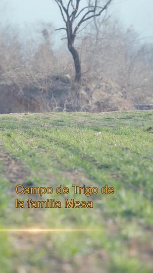Superando la hambruna: mi vida secreta con mis hijos (Doblado) Episodio 5