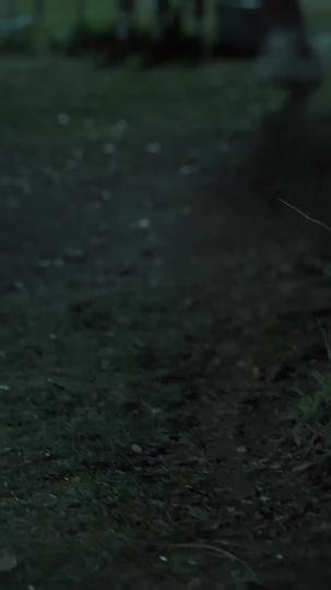 Alma Gêmea Indesejada  2Episódio