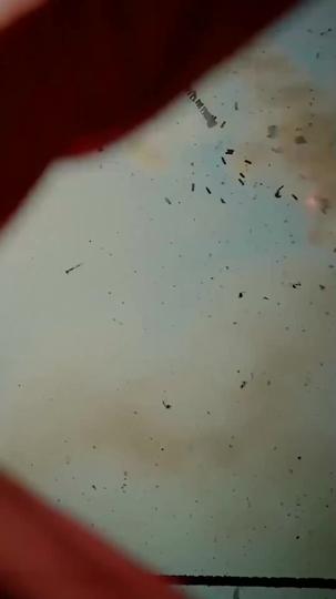 The Stunning Resurgence: Becky 2.0 Episode 1