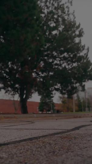 لو لم أحبك قط (مدبلج) 5مجموعة