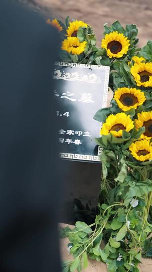 金光一闪,好运连连 第11集