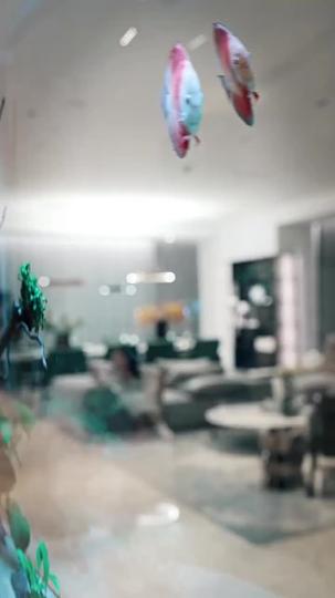 九爺的偏寵小甜妻 第11集