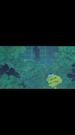 Episodes 70