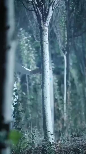 The Barbecue Legend Episode 4