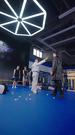 剧集数 12