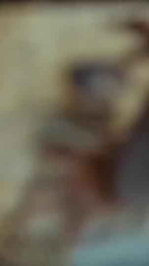 운명이 뭐길래 제9회