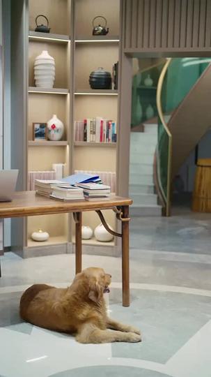 Let's Fall in Love Again Episode 6