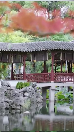 转身又见海棠开 第5集