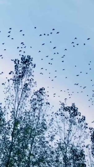 Our Story Ends Here Episode 1