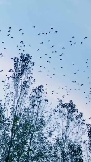 Our Story Ends Here Episode 1