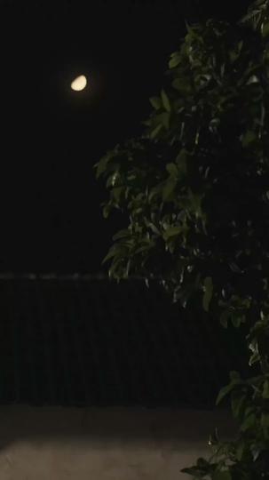 A Leap Through Time: Thriving in the '90s Episode 2