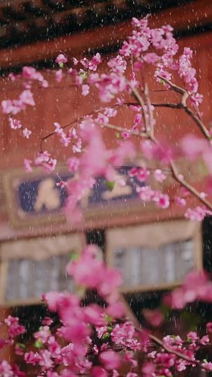 一紙和離書送她入青雲 第1集