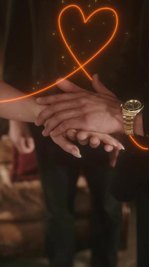 Die wahre Luna des Alpha Königs 9Folgen