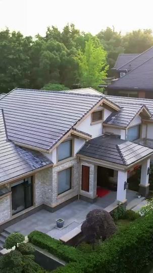 Roses and Thorns: Her Journey to Love Episode 5