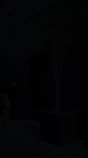 Let It Be Me Episode 8