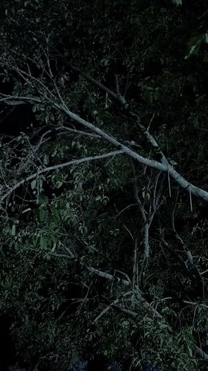 Sang Pendekar Sakti Episode 1