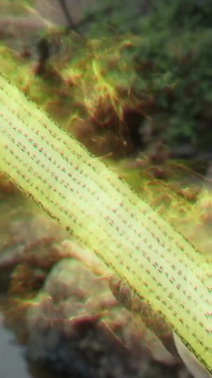 绝世神皇 第4集