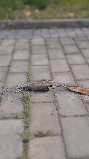 The World Beckoned in My Call Episode 6