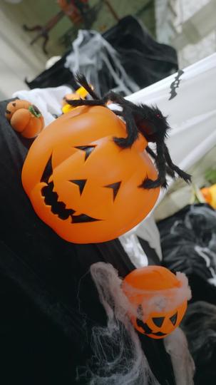 真千金是老祖转世 第4集