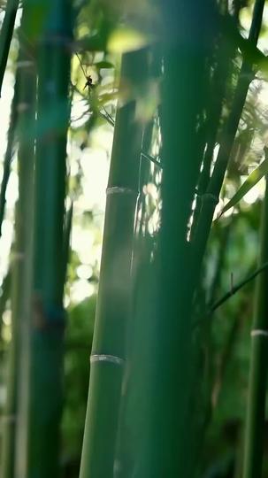 Jiwa Pejuang Legendaris Episode 8