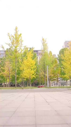 星が廻る時 第 1 話