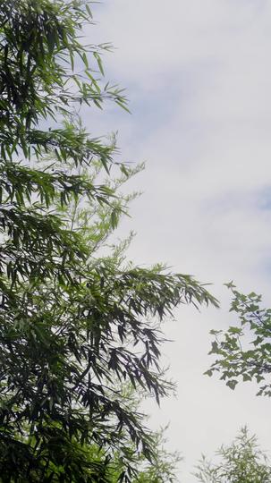 权臣的软肋 第2集