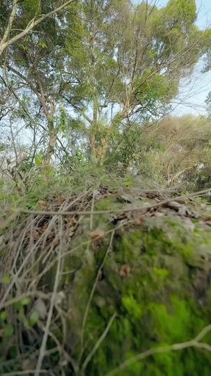 The Princess' Stolen Crown Episode 1