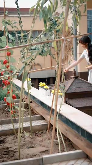 Seeds of Love, Sunlit Days Episode 1