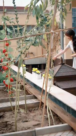 Seeds of Love, Sunlit Days Episode 1