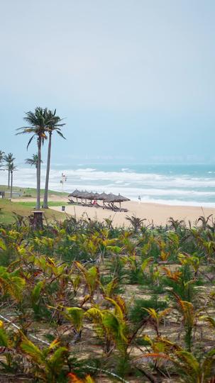 玫瑰娇藏 第3集