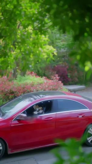 Anything, and Everything to Win Her Back Episode 7